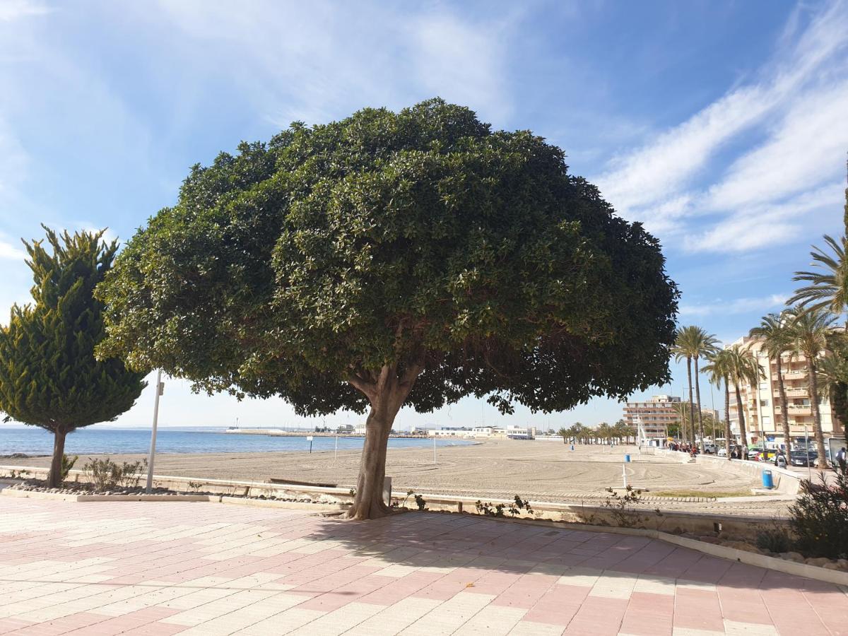 Beautiful Flat With Sea View And Sound Of The Surf Apartment Santa Pola Exterior foto